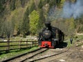 Mocanita train on Vaser Valley