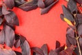 Mocap of autumn leaves on a textured surface of red fleecy fabric