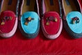 Moccasins Royalty Free Stock Photo