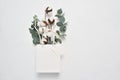 Mock up autumn of dried bouquet of cotton flowers and leaves of eucaliptus in white package with place for your text