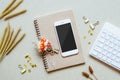 Mock up blank screen mobile phone on home office desk. Office desk table with supplies. Flat lay Business workplace and grass Royalty Free Stock Photo