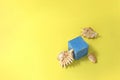 Mock up display blue cube pedestal, sea shells on yellow background. Royalty Free Stock Photo