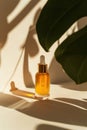 Mock up glass dropper bottle on a podium, with leaves and stones. Hard shadows. Cosmetic pipette on a white background