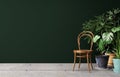 Mock up interior with potted plants and old wooden chair in front of dark green wall background Royalty Free Stock Photo