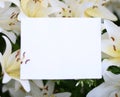 Mock up with lilac flowers on green background. Photo with copy space. Royalty Free Stock Photo