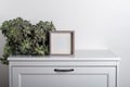 Mock up made from photo frame in scandinavian minimalist interior with succulents