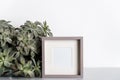 Mock up made from photo frame in scandinavian minimalist interior with succulents