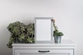Mock up made from photo frame in scandinavian minimalist interior with succulents