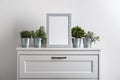 Mock up made from photo frame in scandinavian minimalist interior with succulents