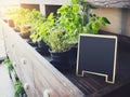 Mock up Menu Chalkboard stand with organic herb plants