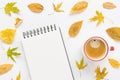 Open sketchbook or notebook, coffee and yellow fall leaves