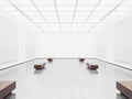 Mock up of open space gallery interior with white Royalty Free Stock Photo