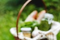 Mock up out of focus of Italian picnic basket with food: baguette bread, Pesto sauce in the park on a green nature background. Royalty Free Stock Photo