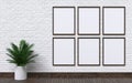 Mock up photo frames with plant and wall 3D