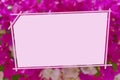 Mock up sample blank for text on background blur group pink flower