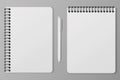 Mock up two notepads with spiral and ball-point pen with space for your image or text. Blank display mockup with shadow on