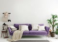 Mock up wall in purple indigo modern interior background, living room, Scandinavian style
