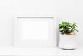 Mock up white frame and succulent plant against white wall on shelf