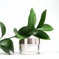 A mock up white jar of cream on a white gray background, on a white table with green leaves of a tropical plant, with hard shadows Royalty Free Stock Photo