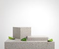 Mockup Abstract Background Stone Podium Platform With Green Leaves On Floor 3d Render