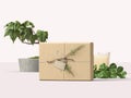 Mockup, beautiful shipping box, package with branch and tag, 3d Illustration