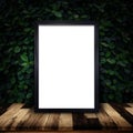 Mockup of black frame poster on green ivy wall background. Royalty Free Stock Photo