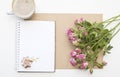 Mockup with blank notepad, cup of coffee and little garden pink roses. New year cookies and cappuccino. Christmas Royalty Free Stock Photo