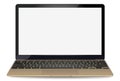mockup with blank screen - front view.Open laptop with blank screen isolated on background - vector illustration. Royalty Free Stock Photo