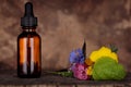 Mock-up dropper bottle. BACH therapy, concept. Natural Remedies Aromatherapy. Copy space Royalty Free Stock Photo