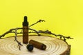 Mockup of brown glass vials with dropper lid on wooden board. Empty glass bottles with pipette, tree branch on yellow background.