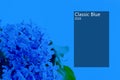 Mockup of clasic blue background with trendy color of the year 2020. Copy space