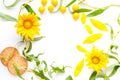 Mockup copyspace from flowers of a sunflower and greens on a white background flat lay Royalty Free Stock Photo