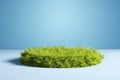 mockup of empty Grass podium, on a blue background. Grass circle, copy space. Royalty Free Stock Photo