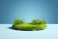 mockup of empty Grass podium, on a blue background. Grass circle, copy space. Royalty Free Stock Photo