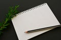 A mockup of an empty open notebook with a pencil on black background. Royalty Free Stock Photo