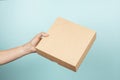 Mockup. Female hand holding brown rectangular cardboard box on light blue background. Woman give parcel box. Packaging