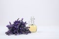 Mockup image of glass bottle with lavender essential oil and lavender flowers on white background with copyspace for text. Trendy Royalty Free Stock Photo