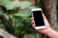 A hand holding white smart phone with blank black desktop screen in outdoor with blur green nature background Royalty Free Stock Photo