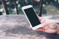 Mockup image of hands holding white mobile phone with blank black screen with hot coffee cup Royalty Free Stock Photo