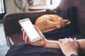 A woman`s hand holding white mobile phone with blank screen and a sleeping brown cat in background Royalty Free Stock Photo