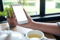 A woman`s hands holding a white mobile phone with blank screen with coffee cup and tea on table in cafe Royalty Free Stock Photo