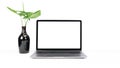 Mockup laptop devices isolated on white background. personal computer notebook white screen. and black vase, houseplant, desk Royalty Free Stock Photo