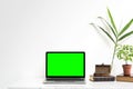 Mockup laptop with green screen on marble desk with nature leaf