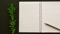 A mockup of open notebook with a pencil and branch of plant on black background. Royalty Free Stock Photo
