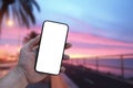 Mockup of the phone in the man hand with a white screen in his hand, against the background of the dawn of the sea and palm trees Royalty Free Stock Photo