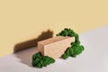 Mockup podium made of Brick and moss for products and accessories. Biophilic design, isometric view