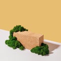 Mockup podium made of Brick and moss for products and accessories. Biophilic design, isometric view