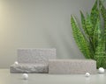 Mockup Podium Stone For Show Products With Snake Plant Background 3d Render