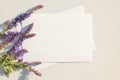 Mockup poster or flyer for advertising or presentation white sheets of paper with a sage flowers on a gray background. Congratulat