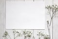 Mockup for presentations with Gypsophila flowers